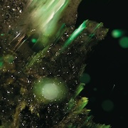 Abraham: Idsungwüssä