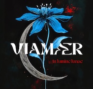 Viamaer: In lumine lunae